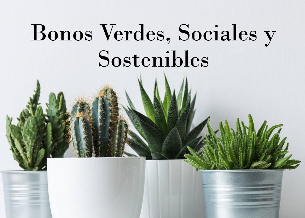 Bonos Verdes, Sociales y Sostenibles